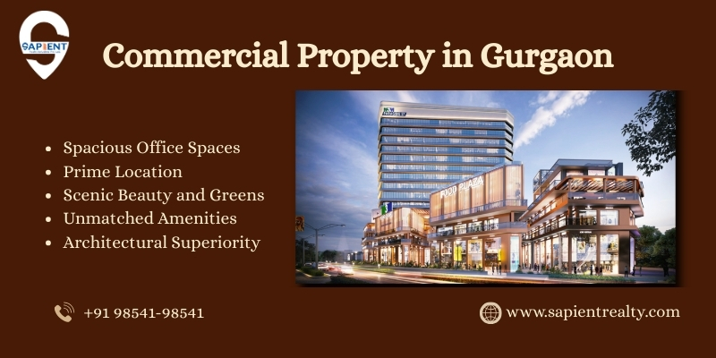 Commercial Property for Sale in Gurgaon - Sapient Realty